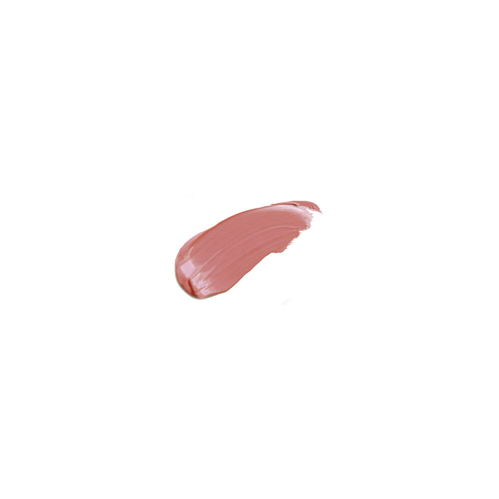 LIP REPAIRE MOMENT - 336
