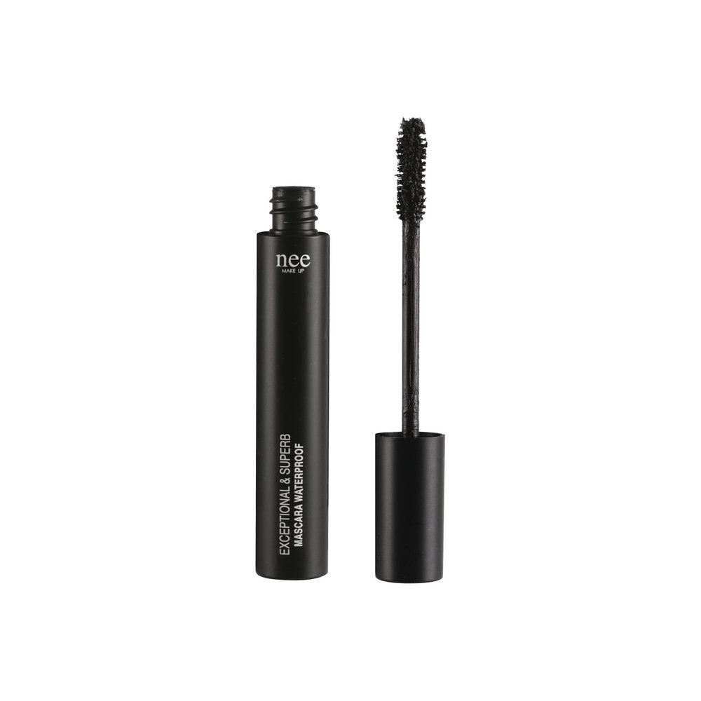 MASCARA "EXCEPTIONAL AND SUPERB" WATERPROOF